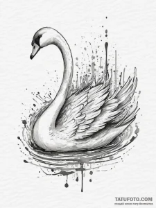 Tattoo sketch black swan, tattoo drawing outl... - эскиз тату (№1757076871_0, 05.09.2025 12:54) — Tatufoto.com