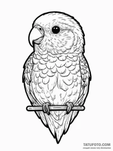 Tattoo sketch budgie, tattoo flash sheet desi... - эскиз тату (№1757097430_0, 05.09.2025 18:37) — Tatufoto.com