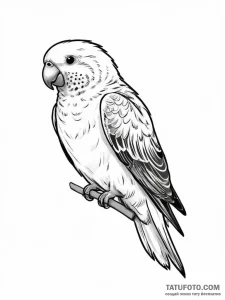 Tattoo sketch budgie, artistic tattoo sketch,... - эскиз тату (№1757102866_0, 05.09.2025 20:07) — Tatufoto.com