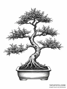 Tattoo sketch a bonsai tree, ink illustration... - эскиз тату (№1757111692_0, 05.09.2025 22:34) — Tatufoto.com