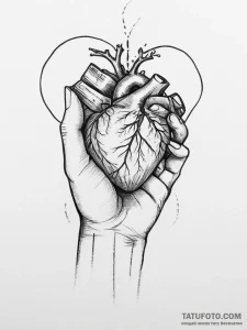 Tattoo sketch hand holding a heart - эскиз тату (№1757166252_0, 06.09.2025 13:44) — Tatufoto.com