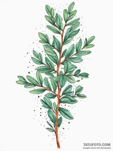 Tattoo sketch eucalyptus branch, ink illustra... - эскиз тату (№1757174395_0, 06.09.2025 15:59) — Tatufoto.com