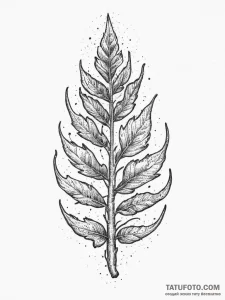 Tattoo sketch turmeric root, tattoo sketch de... - эскиз тату (№1757231634_0, 07.09.2025 07:53) — Tatufoto.com