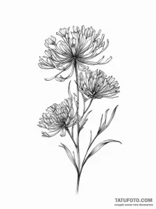 Tattoo sketch fennel flower, tattoo drawing o... - эскиз тату (№1757307430_0, 08.09.2025 04:57) — Tatufoto.com
