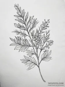 Tattoo sketch wattle, tattoo flash sheet desi... - эскиз тату (№1758258439_0, 19.09.2025 05:07) — Tatufoto.com