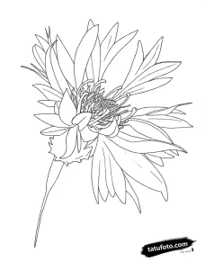Photo-to-sketch - Стандарт - Photo-to-Sketch [69ff97]