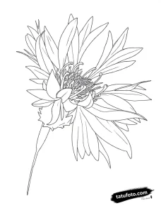 Photo-to-sketch - Стандарт - Photo-to-Sketch [0f76d7]