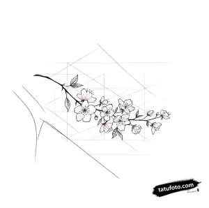 Тату-эскиз ветки сакуры в стиле графика с тонкими линиями и деликатной проработкой лепестков.