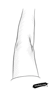 Photo-to-sketch - Стандарт - Photo-to-Sketch [58d6f0]