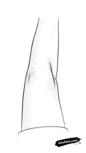 Photo-to-sketch - Стандарт - Photo-to-Sketch [91b347]