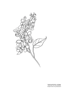 Photo-to-sketch - Стандарт - Photo-to-Sketch [c784a0]