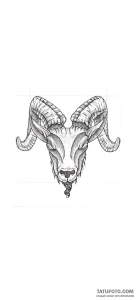 Photo-to-sketch - Стандарт - Photo-to-Sketch [a3cd0c]