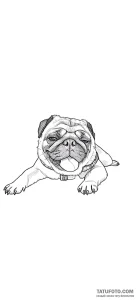 Photo-to-sketch - Стандарт - Photo-to-Sketch [414196]