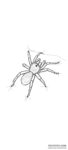Photo-to-sketch - Стандарт - Photo-to-Sketch [997544]