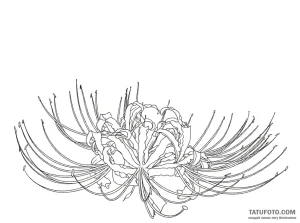 Photo-to-sketch - Стандарт - Photo-to-Sketch [cab207]
