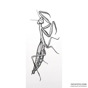 Photo-to-sketch - Стандарт - Photo-to-Sketch [897015]