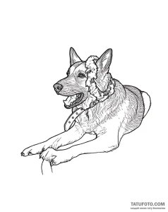 Photo-to-sketch - Стандарт - Photo-to-Sketch [79918f]