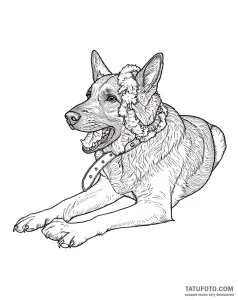 Photo-to-sketch - Стандарт - Photo-to-Sketch [cb3ed9]