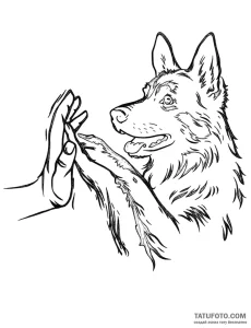 Photo-to-sketch - Стандарт - Photo-to-Sketch [93d959]