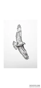 Photo-to-sketch - Стандарт - Photo-to-Sketch [ffc44b]