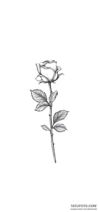 Photo-to-sketch - Стандарт - Photo-to-Sketch [bff2d2]
