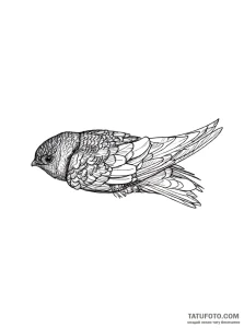 Photo-to-sketch - Стандарт - Photo-to-Sketch [6f3d5e]