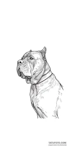 Photo-to-sketch - Стандарт - Photo-to-Sketch [5dcf7a]