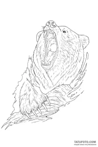 Photo-to-sketch - Стандарт - Photo-to-Sketch [97108b]
