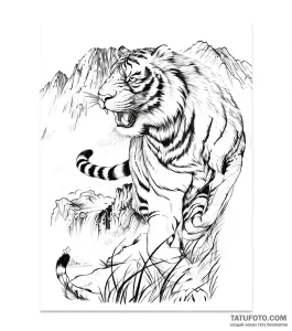 Photo-to-sketch - Стандарт - Photo-to-Sketch [46eb0d]