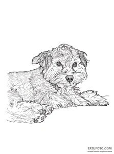 Photo-to-sketch - Стандарт - Photo-to-Sketch [327426]