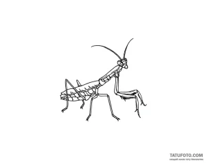 Photo-to-sketch - Стандарт - Photo-to-Sketch [2ab2b4]
