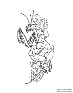 Photo-to-sketch - Стандарт - Photo-to-Sketch [3b7bfc]