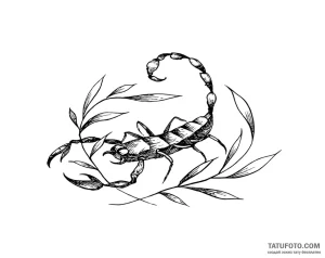 Photo-to-sketch — Стандарт — Photo-to-Sketch [7b3f7f]